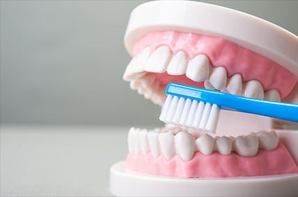 予防歯科・歯のクリーニング・PMTC